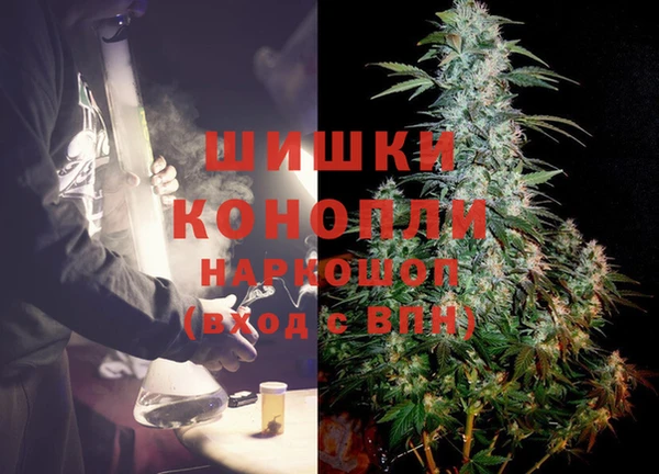 наркотики Бородино