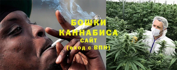 стафф Бронницы
