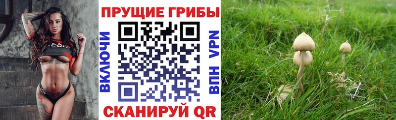 Псилоцибиновые грибы Magic Shrooms  Череповец 